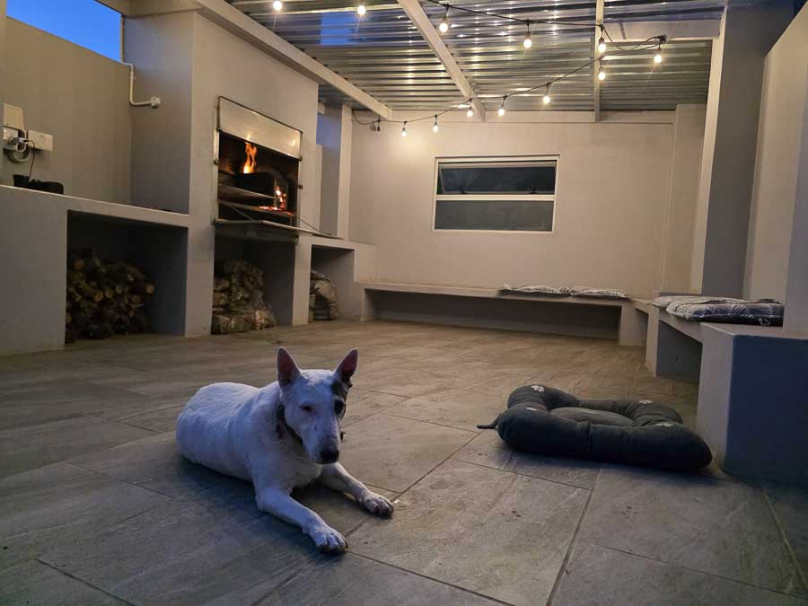 Outdoor Kitchen and Braai with Alcyone's dog