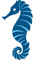 Alcyone Seahorse Logo